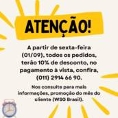 Promoções do Mês, do Cliente - WSG Brasil