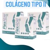 Colágeno Tipo II