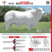 Touro Nelore Sensor FIV JMP (N0391)