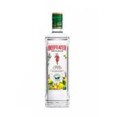 Gin Beefeater Botanics 750ml