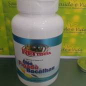 Óleo de Figado de Bacalhau- Rei Terra