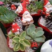 Enfeite de natal  