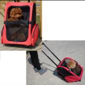 Mochila transporte