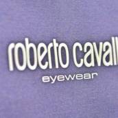 Óculos Roberto Cavalli