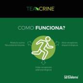 TEACRINE®: AUMENTO DA ENERGIA FÍSICA E MENTAL