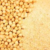 Farelo de soja Agrofeed em Bom Jesus dos Perdões, SP por Agropecuária Lukan