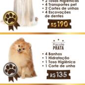 Pacotes De Banho E Tosa 