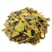 Chá Canela de Velho