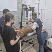 exame radiológico que elucida alterações em ossos, articulações  e tecidos moles