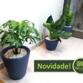 Vasos para Plantas em Bauru