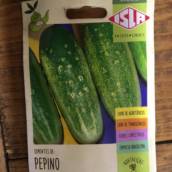 semente pepino caipira 