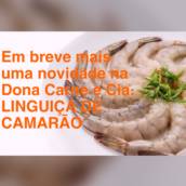 Em breve mais uma novidade!