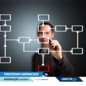 TECNOLOGIA EM PROCESSOS GERENCIAIS 