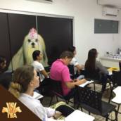Nossas Aulas 