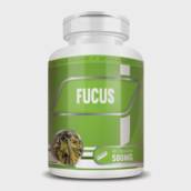 Fucus em cápsulas 