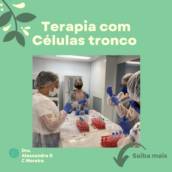 Terapias com Célula Tronco para Animais