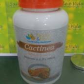 Cactinea- Fauna e Flora