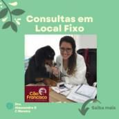 Consultas Veterinárias em Local Fixo
