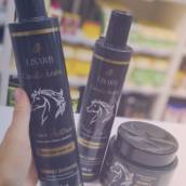 Linha de Tratamento Cavalo Árabe