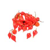 Pimenta Biquinho em Bauru 
