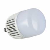 LAMPADA LED AUTO FATOR 80W 