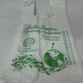 Sacola Plastica Timbrado Volte Sempre 30x40 c/1000 (OXIBIO)