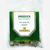 Chá de Angélica 30g - Chamel