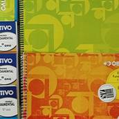 Ensino Fundamental