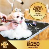 Curso Banho e Tosa 