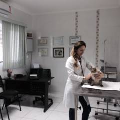 Clínica Veterinária