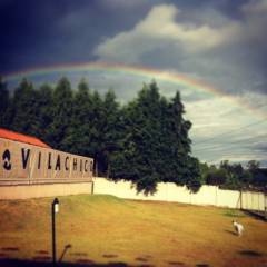 Creche para cães e gatos