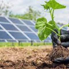 Energia solar para agronegócio em Bauru