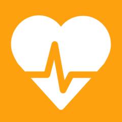 Avaliação dos Quatro Pilares da Saúde