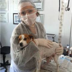 Medicina Integrativa