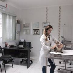  Clínica Veterinária 24h
