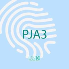 Certificado Digital PJA3: Solução Completa para Profissionais Jurídicos em São Paulo/SP