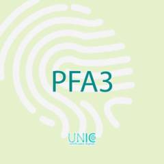 Certificado Digital PFA3: Solução Completa para Profissionais da Área Fiscal em São Paulo/SP