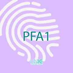 Certificado Digital PFA1 em São Paulo – Segurança e Validade para Documentos Fiscais