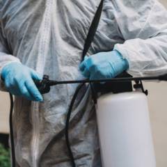 Controle de Pragas Industrial no Santa Bárbara Resort – Segurança e Conformidade com a Detecta