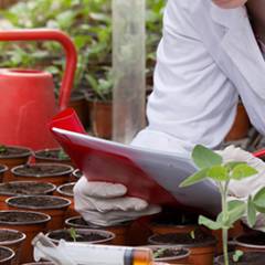 Tecnólogo em Gestão Ambiental