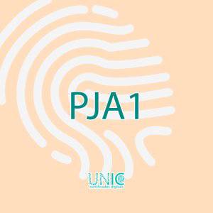 Certificado digital pja1 em são paulo – segurança e validade jurídica ...