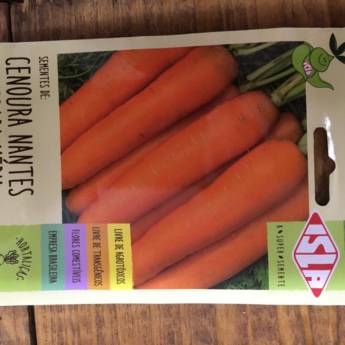Comprar o produto de semente cenoura nantes calib med  em A Classificar pela empresa Botucatu Garden em Botucatu, SP por Solutudo