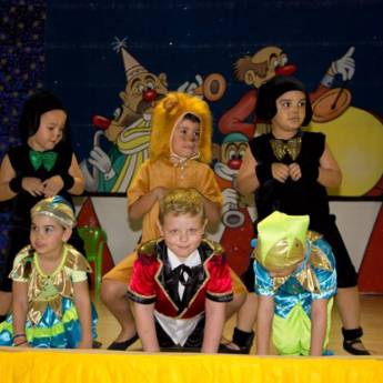 Comprar o produto de Teatro "Um Circo Diferente" em Colégios e Escolas em Boituva, SP por Solutudo