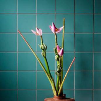 Comprar o produto de Revestimento de Azulejo Ceramica Atlas em Pisos e Revestimentos pela empresa Maxcon Casa e Construção - Materiais para Construção em Atibaia em Atibaia, SP por Solutudo