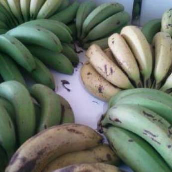 Comprar o produto de Bananas orgânicas em A Classificar em Jaboticabal, SP por Solutudo