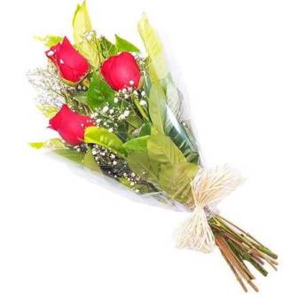 Comprar o produto de Buque de Rosas em Bauru em Buquês em Bauru, SP por Solutudo