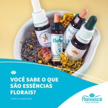Comprar o produto de Essências Florais em Saúde em Adamantina, SP por Solutudo