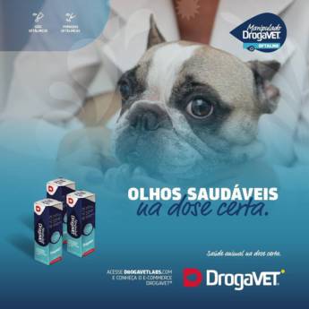Comprar o produto de Medicamentos oftálmicos em Bauru em Cachorros em Bauru, SP por Solutudo Comprar o produto de Medicamentos oftálmicos em Bauru em Cachorros em Bauru, SP por Solutudo