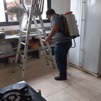 Comprar o produto de Barreiras Físicas para Pombos em Laranjal Paulista – Proteção eficaz em Dedetizadoras em Laranjal Paulista, SP por Solutudo