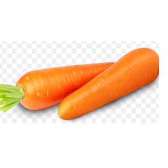 Comprar o produto de Cenoura  em Legumes pela empresa Empório Primare Bebidas e Eventos - Loja 02 em Mineiros, GO por Solutudo